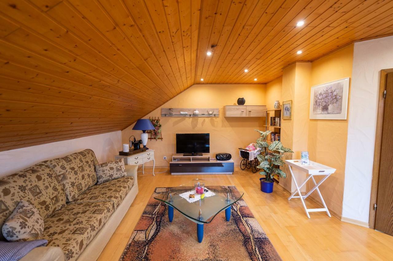 Ferienwohnung Virginija Ditscheid Ngoại thất bức ảnh