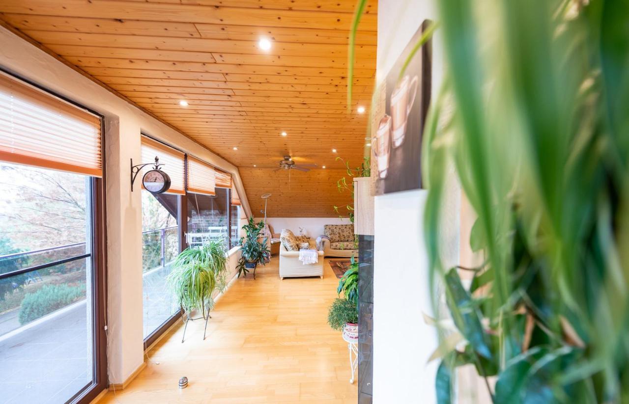 Ferienwohnung Virginija Ditscheid Ngoại thất bức ảnh